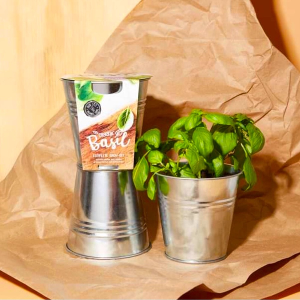 🌸BUZZY - ORGANIC BASIL COMPLETE GROW KIT(Can grow year round!)🌸